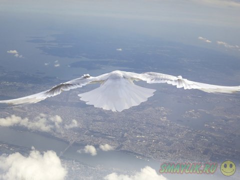 �����, ������� ������ � ���� 