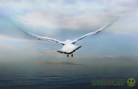 �����, ������� ������ � ���� 