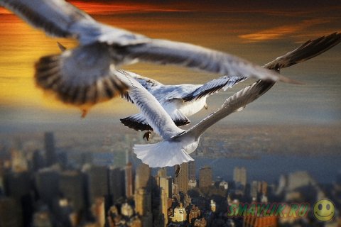 �����, ������� ������ � ���� 