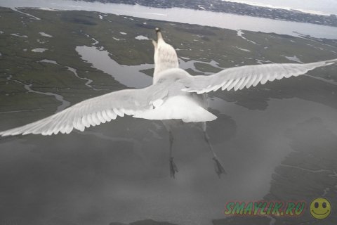 �����, ������� ������ � ���� 