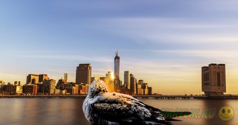 �����, ������� ������ � ���� 