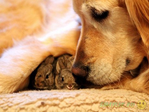  ����� �������� ������� ����� ���������