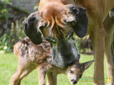  ����� �������� ������� ����� ���������