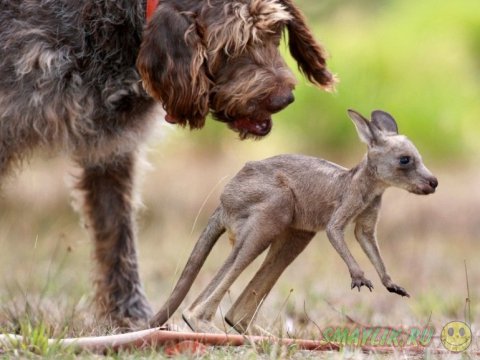  ����� �������� ������� ����� ���������