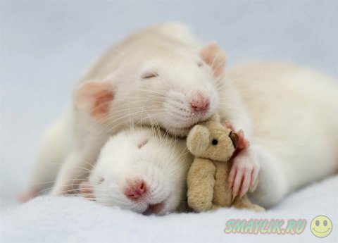 �������� ������ � ��������� �������