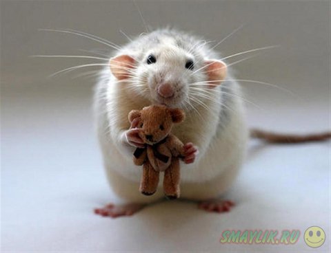 �������� ������ � ��������� �������