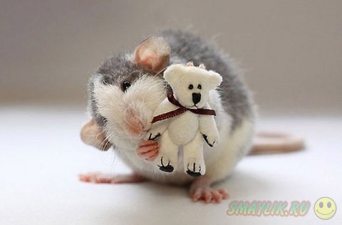 �������� ������ � ��������� �������