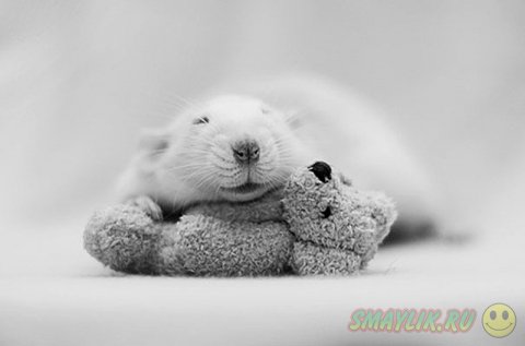 �������� ������ � ��������� �������