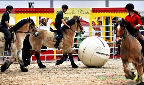 ������� �  �������� ���������� ��������