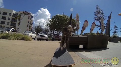 �������� �� ���������� ����� � �����