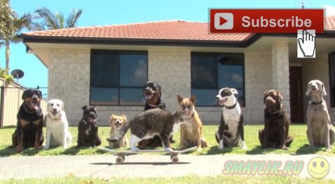 �������� �� ���������� ����� � �����