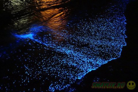 ������� ������ ������ ��������� ����������� ��������