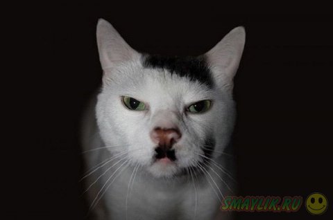 ����������� ��� � ��������