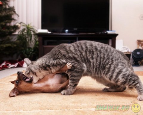 ����� � ������ - ��� ������������������ ������� 