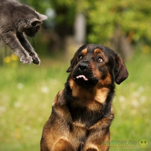 ����� � ������ - ��� ������������������ ������� 