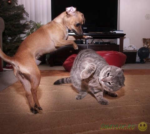 ����� � ������ - ��� ������������������ ������� 