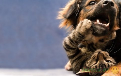 ����� � ������ - ��� ������������������ ������� 