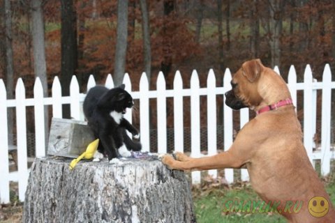 ����� � ������ - ��� ������������������ ������� 