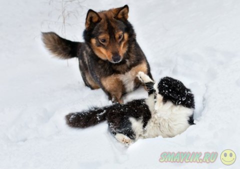 ����� � ������ - ��� ������������������ ������� 