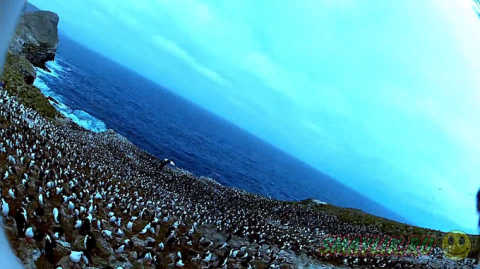 ����������� ������ � ����� ������� ���������