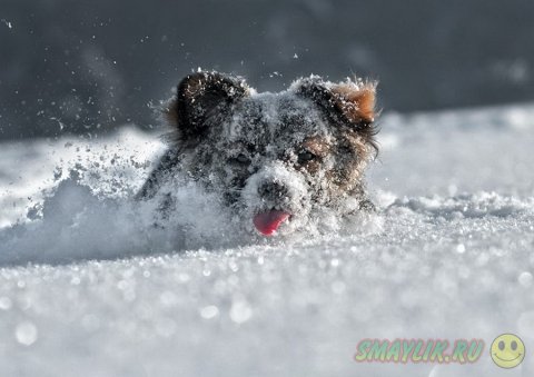 ����, �������� �������� � ������� ������