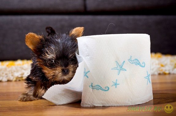 ����� ��������� ������ �� ������ �����