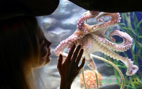 ���������� ���������� �� ���� ������� ����� �������