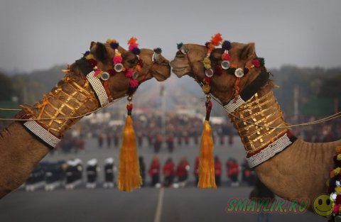 ���������� ���������� �� ���� ������� ����� �������