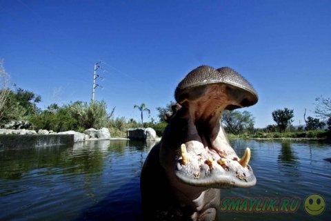 ���������� ���������� �� ���� ������� ����� �������