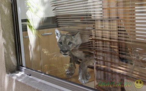 ���������� ���������� �� ���� ������� ����� �������