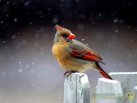 ���������� ���������� �� ���� ������� ����� �������