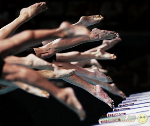 ����� ���������� ���������� �������� �Sony World Photography Awards 2014�