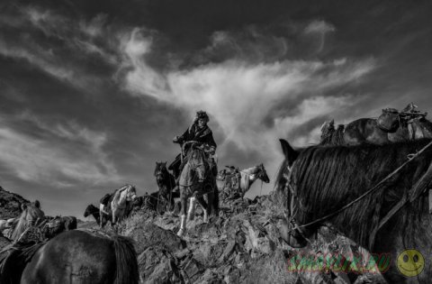 ����� ���������� ���������� �������� �Sony World Photography Awards 2014�