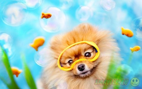 ����������� ���� ����� � ����������� ����� �