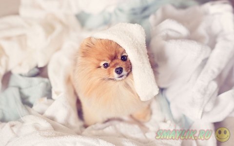 ����������� ���� ����� � ����������� ����� �