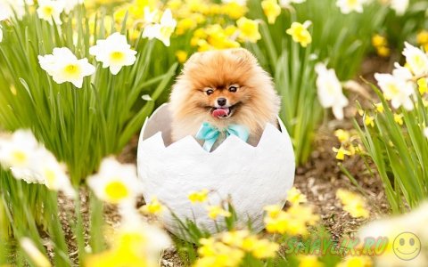 ����������� ���� ����� � ����������� ����� �