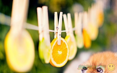 ����������� ���� ����� � ����������� ����� �