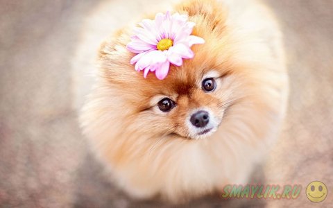 ����������� ���� ����� � ����������� ����� �