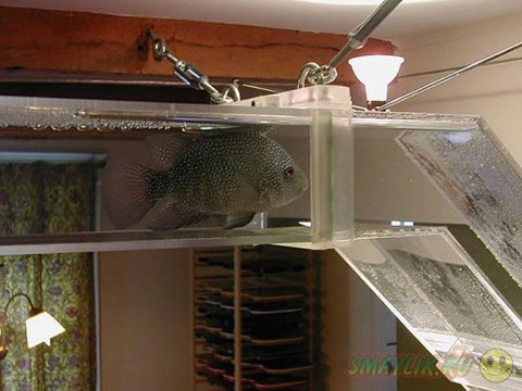 �������� ��������� � ������� � �������� ��������