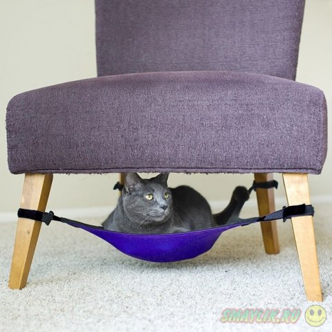 �������� ��������� � ������� � �������� ��������