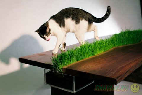 �������� ��������� � ������� � �������� ��������