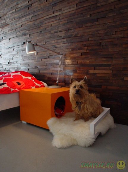 �������� ��������� � ������� � �������� ��������