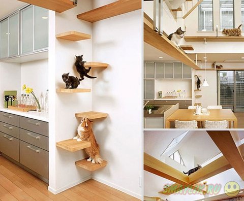 �������� ��������� � ������� � �������� ��������