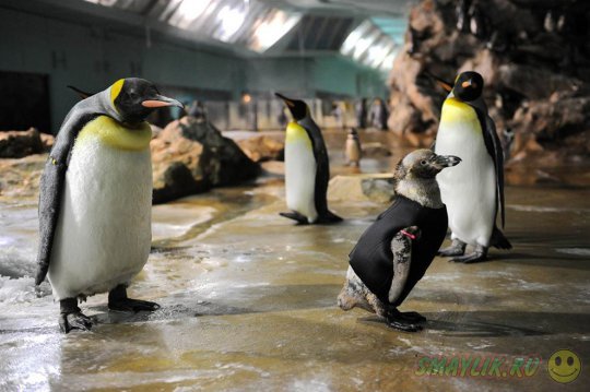 �������� � �������� �������� ����� � ��������� ��-�� ������