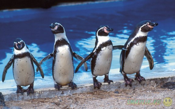 �������� � �������� �������� ����� � ��������� ��-�� ������