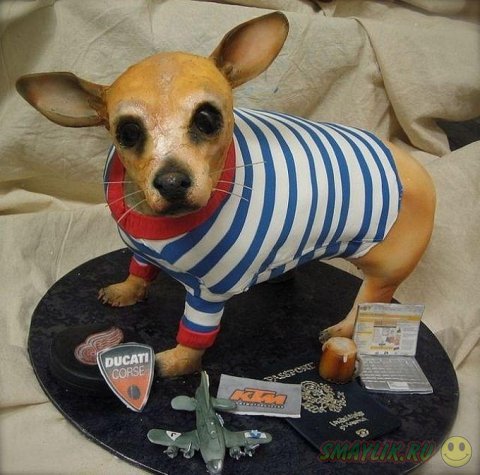 ����������������� ����� �� ����� ����� 