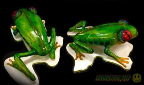 ����������������� ����� �� ����� ����� 