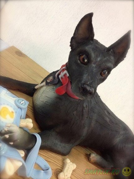 ����������������� ����� �� ����� ����� 