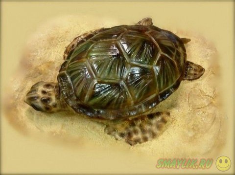 ����������������� ����� �� ����� ����� 