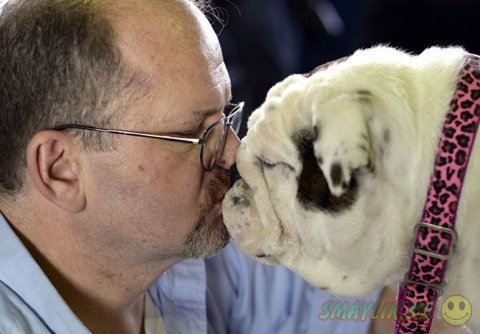 �������� ����� Westminster Kennel Club 2014 � ���-����� 